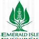 Emerald Isle Travel Solutions Logo